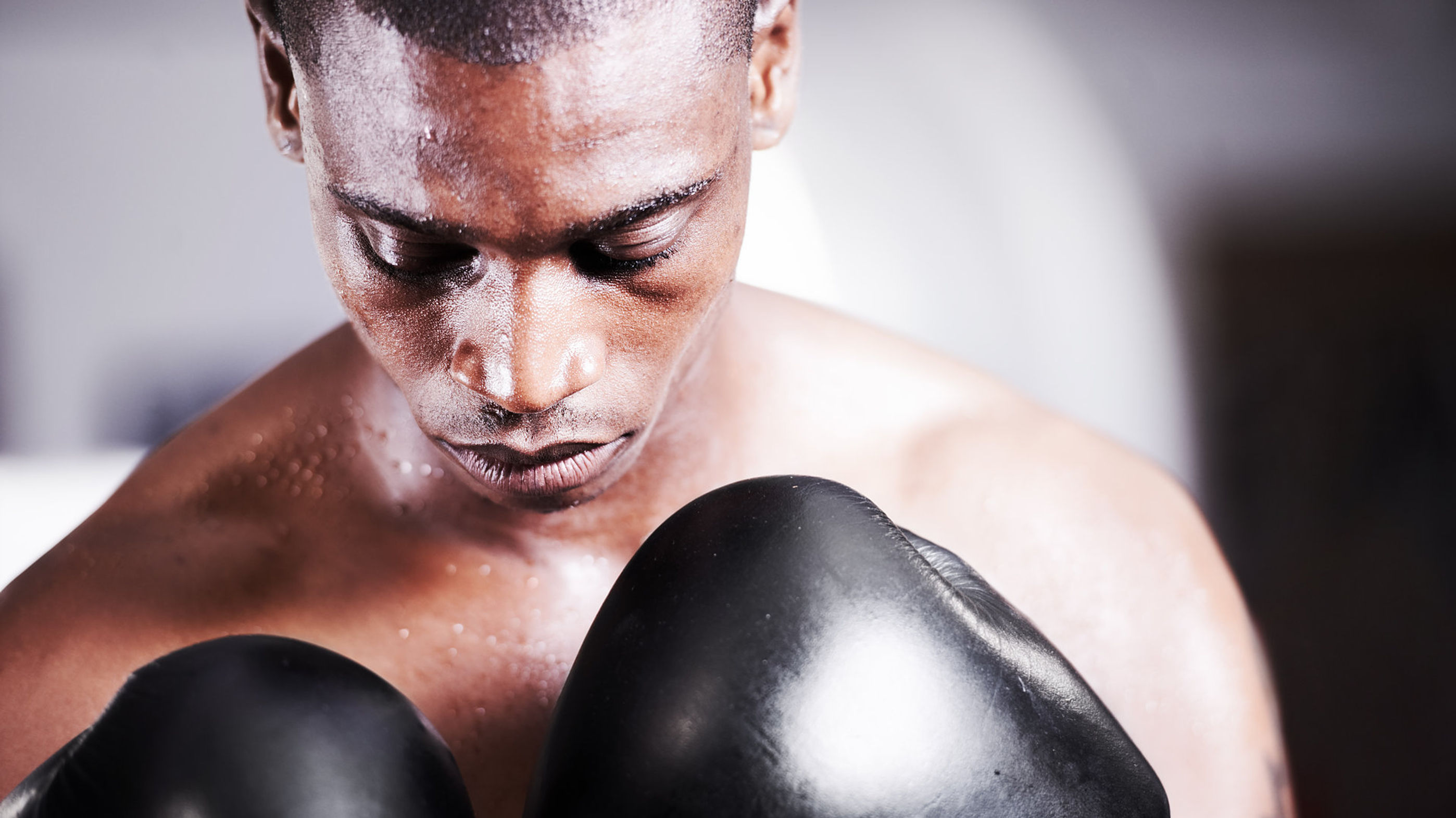 LES GANTS DU PAPILLON